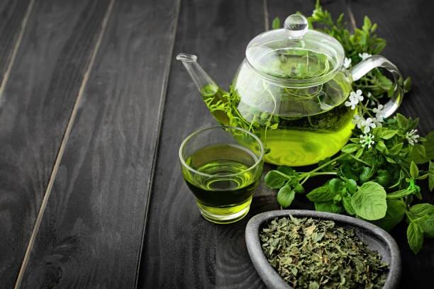 Best time to take green tea for good health and weight loss Green Tea Benefits: સવારે નહીં ગ્રીન ટી પીવાનો આ છે યોગ્ય સમય, આ રીતે સેવનથી મળે છે તેનો ફાયદો
