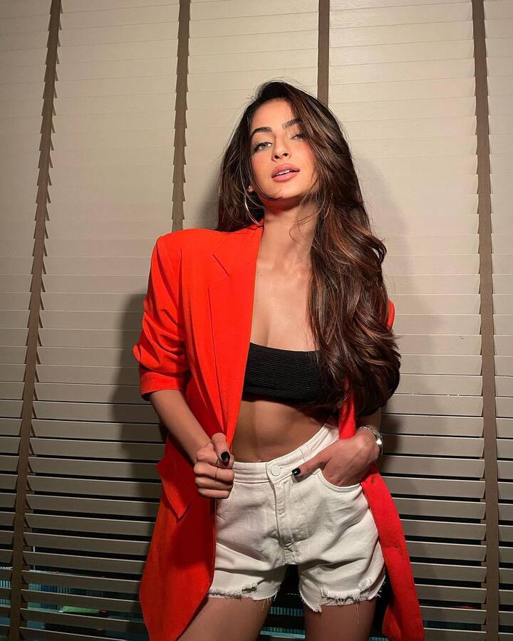 पलक के ड्रेसिंग सेंस और स्टाइल की फैंस जमकर तारीफ करते हैं. अपने लुक पर पलक काफी एक्सपेरिमेंट करती हैं.