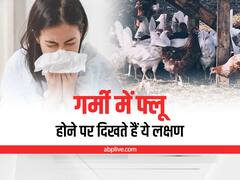 Flu Symptoms : गर्मी में फ्लू की परेशानी होने पर दिखते हैं ये लक्षण, तुरंत कराएं अपना इलाज