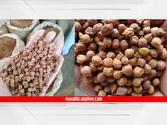 Maharashtra News : राज्यात हजारो शेतकऱ्यांचा हरभरा पडून, उद्दीष्ट पूर्ण झाल्याने हरभरा खरेदी थांबवली