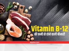 Health Tips: विटामिन बी-12 की कमी से हो सकती हैं ये गंभीर बीमारी, इन चीजों से पूरी करें Vitamin B-12 की कमी
