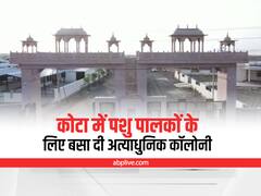 Kota News: कोटा में पशुपालकों के लिए बसेगी अत्याधुनिक कॉलोनी, सड़क को मवेशी मुक्त बनाने की अनूठी पहल