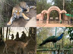 Bilaspur News: गर्मी की छुट्टियों में समय बिताने के लिए बिलासपुर का कानन पेंडारी उद्यान है खास, देखें तस्वीरें