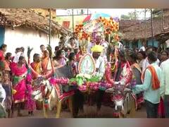 सोंगाढोंगात, वाजतगाजत 25 बैलगाड्यांतून निघाली नवरदेवाची वरात; परंपरा जोपासण्यासाठी अनोखं पाऊल