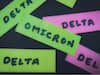 More Excess Deaths During Omicron Period Than During Delta: US Localised Study