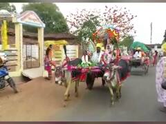 वाजतगाजत 25 बैलगाड्यांतून निघाली वरात, नवरदेवाचं अनोखं पाऊल