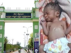 விழுப்புரம்: பிறந்து இரண்டே நாட்கள் - முட்புதரில் கேட்பாரற்று கிடந்த பச்சிளம் குழந்தை: போலீஸ் விசாரணை!