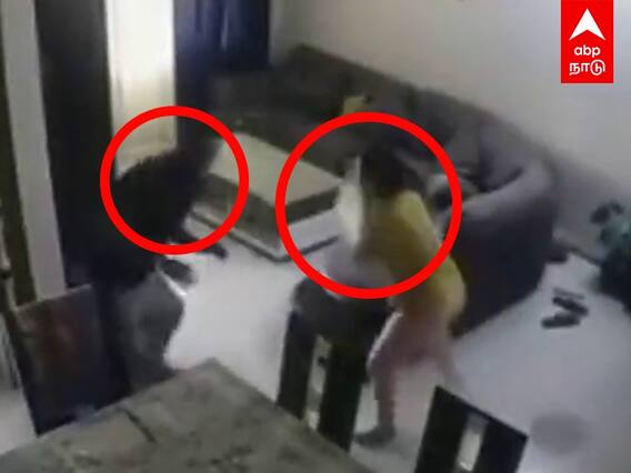 Rajastan: கணவரை அடிக்கும் மனைவி..”எப்படியாச்சும் காப்பாத்துங்க” என நீதிமன்றம் சென்ற கணவர்