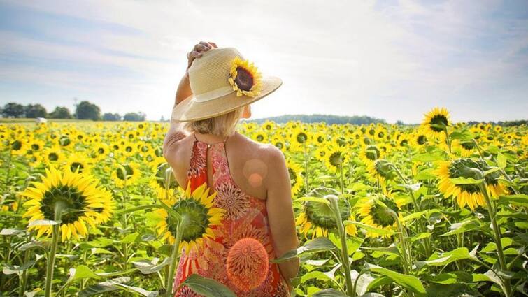 A Guide to the Most Common Illnesses During the Summer Season, know in details Health Tips: গরমকালে কোন কোন অসুখ হওয়ার সম্ভাবনা বেশি থাকে?