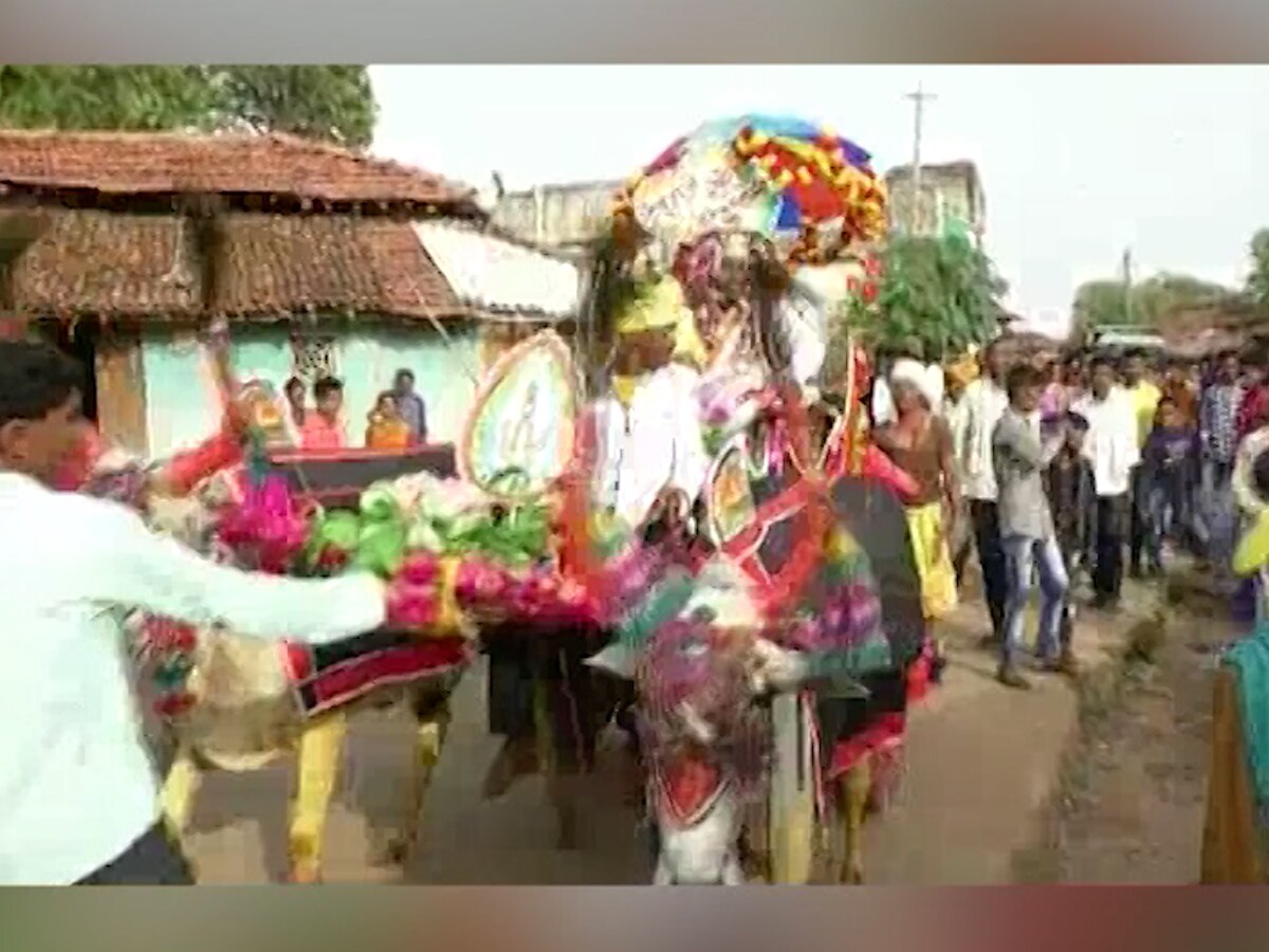 सोंगाढोंगात, वाजतगाजत 25 बैलगाड्यांतून निघाली नवरदेवाची वरात; परंपरा जोपासण्यासाठी अनोखं पाऊल