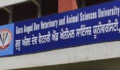 ਹੁਣ ਪਾਸਤਾ ਤੇ ਨੂਡਲਜ਼ ਦੀ ਵੇਸਟ ਤੋਂ ਬਣੇਗੀ ਪਸ਼ੂਆਂ ਦੀ ਖੁਰਾਕ, ਗਡਵਾਸੂ ਕਰ ਰਹੀ ਖੋਜ