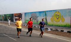 In Pics : केडीएमसीचे कायापालट अभियान,  विविध चित्रांनी उजळून निघाला बारावेचा रिंगरोड