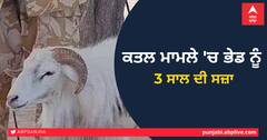 ਮਹਿਲਾ ਨੂੰ ਜ਼ਖਮੀ ਕਰ ਕਤਲ ਕਰਨ ਦੇ ਕੇਸ 'ਚ ਭੇਡ ਨੂੰ 3 ਸਾਲ ਦੀ ਸਜ਼ਾ