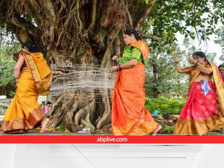 वट सावित्री व्रत (Vat Savitri Vrat 2022) पर बरगद के पेड़ की पूजा का विशेष महत्व है. शास्त्रों में इस वृक्ष को चिरंजीवी कहा गया है. इसमें ब्रह्मा, विष्णु, महेश तीनों देवों का वास बताया गया है. मान्यता है कि इस वृक्ष पर हर वक्त माता लक्ष्मी का निवास रहता है. इसलिए बरगद के वृक्ष की पूजा करने पर कष्टमुक्त, रोगमुक्त, भयमुक्त होने के साथ-साथ पति की लंबी उम्र का वरदान प्राप्त किया जा सकता है. जिससे घर में सुख शांति बनी रहती है.