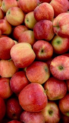 Iron Rich Food : लाल रंगांच्या फळांमध्ये आहे लोहाची कमतरता दूर करण्याची क्षमता