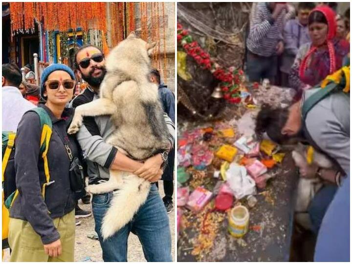 Noida vlogger went to Kedarnath with pet dog writes to PM Modi after social media threats Watch: पालतू कुत्ते को केदारनाथ ले जाने पर व्लॉगर को मिल रही धमकी, पीएम मोदी से मांगी मदद
