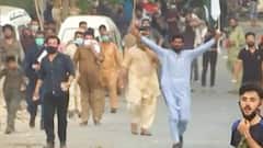 Pakistan News: Imran Khan's 'Azaadi March' turns chaotic | ABP News