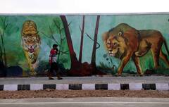 In Pics : केडीएमसीचे कायापालट अभियान,  विविध चित्रांनी उजळून निघाला बारावेचा रिंगरोड