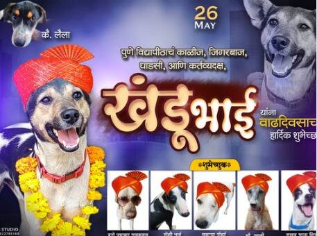 maharashtra pune news khandu dogs birthday in pune University Pune News: पुणेकरांचा नादच  नाय; खंडू नावाच्या कुत्र्याचा केक कापून अनोखा वाढदिवस साजरा