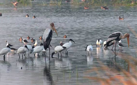 Best Places To Visit In Gurgram: अगर अपने वीकेंड को बनाना चाहते हैं यादगार, तो गुड़गांव की इन फेमस जगहों को करें एक्सप्लोर