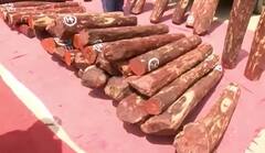 RedSandalwood Smugglers ప్లాన్ తిప్పుకొట్టిన పోలీసులు | Pushpa Movie Scene | ABP Desam