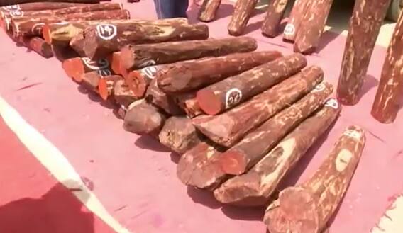 RedSandalwood Smugglers ప్లాన్ తిప్పుకొట్టిన పోలీసులు | Pushpa Movie Scene | ABP Desam