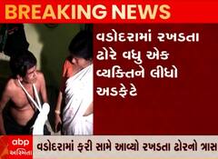 વડોદરામાં રખડતા ઢોરે વધુ એક વ્યક્તિને અડફેટે લીધો