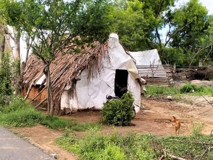 தருமபுரி : தவிக்கும் இருளர் இன மக்கள்.. வீட்டுமனை, வீடு, மின்சாரம் வழங்க கோரிக்கை..