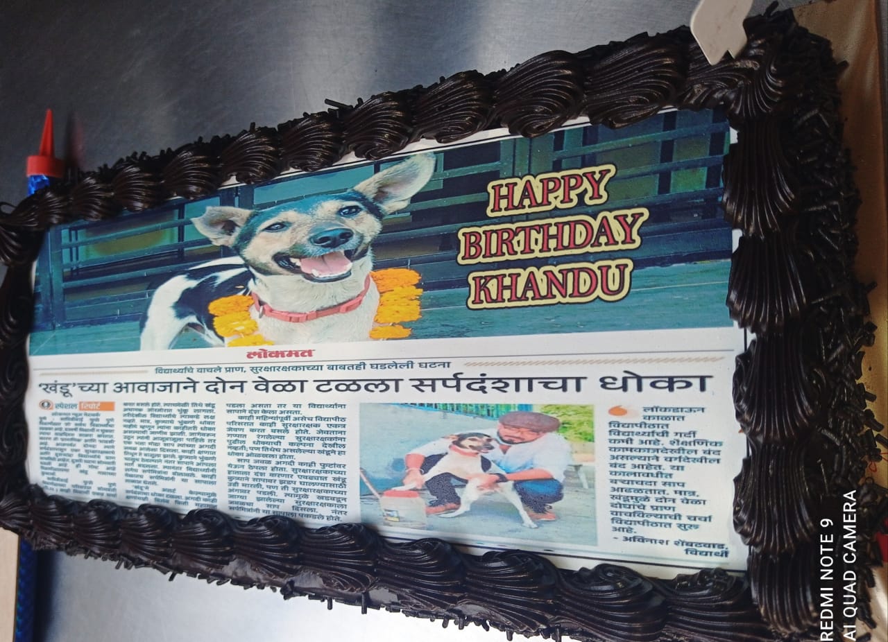 Pune News: पुणेकरांचा नादच  नाय; खंडू नावाच्या कुत्र्याचा केक कापून अनोखा वाढदिवस साजरा