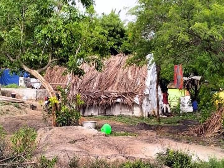 No house, no electricity Irular Tribe People requests for the same In dharmapuri District தருமபுரி : தவிக்கும் இருளர் இன மக்கள்.. வீட்டுமனை, வீடு, மின்சாரம் வழங்க கோரிக்கை..