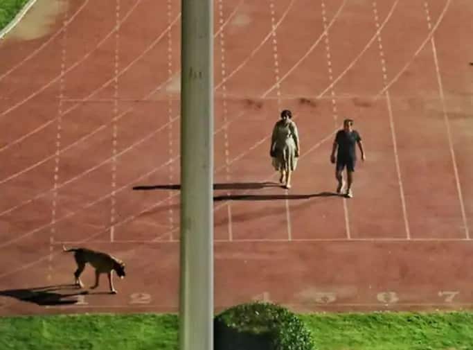 IAS couple who walked dog at Delhi`s Thyagraj Stadium transferred out of Delhi IAS Transfer:સ્ટેડિયમમાં કૂતરાને વોક માટે લઇને આવનારા દંપત્તિની ટ્રાન્સફર, સોશિયલ મીડિયા પર લોકો પૂછી રહ્યા છે હવે કૂતરો ક્યા જશે?