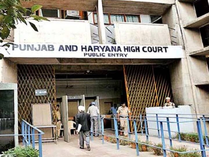 Punjab Haryana High Court seeks reply regarding the security of those  Love Marriage Couple protection Haryana News: प्रेम विवाह कर सुरक्षा मांगने वाले जोड़ों को लेकर हाई कोर्ट सख्त, हरियाणा- पंजाब और चंडीगढ़ से मांगा जवाब