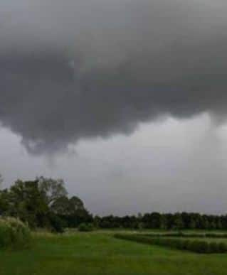 मान्सून आज केरळमध्ये दाखल होण्याचा हवामान खात्याचा अंदाज