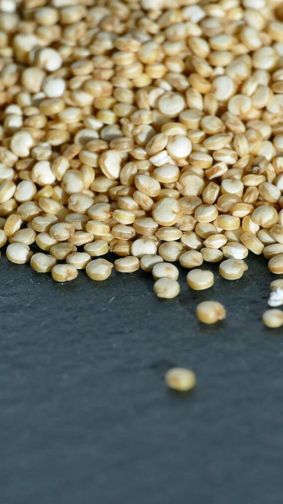 চাল-গমের বিকল্প, অসীম গুণ বাজরার