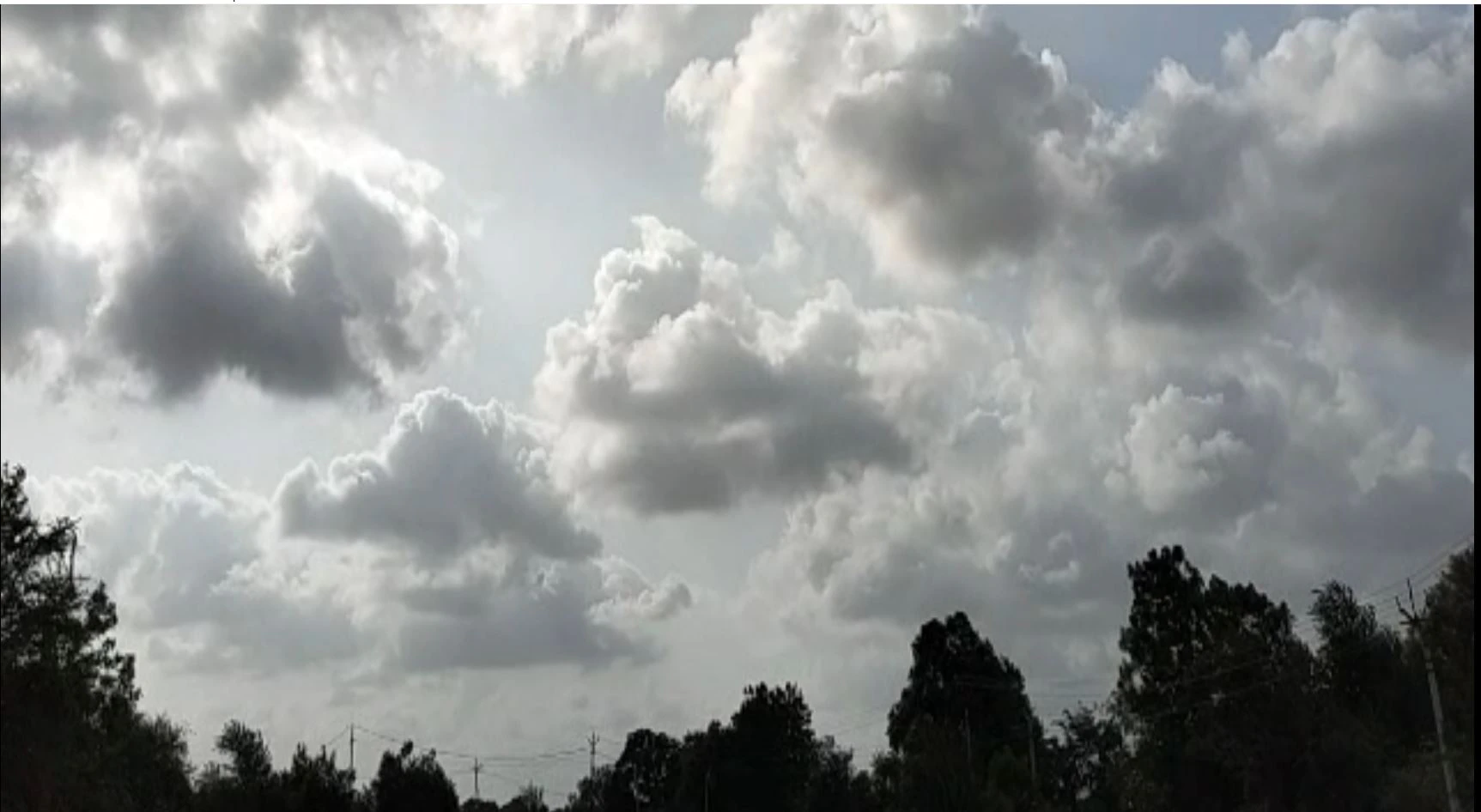 Weather Update: দিনে আর্দ্রতাজনিত অস্বস্তি, বিকেলের দিকে বজ্রবিদ্যুৎ-সহ বৃষ্টির পূর্বাভাস।Bangla News