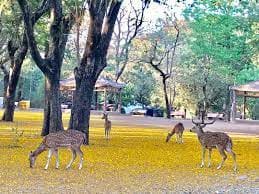 Mumbai Haunted Places:  ये हैं मुबंई की सबसे डरावनी जगहें! जहां शाम ढलने के बाद परिंदा भी नहीं मारता पर