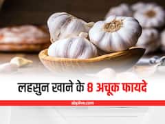 Health Tips: लहसुन खाने के 8 अचूक फायदे, शरीर को खतरनाक बीमारियों से रखता है दूर