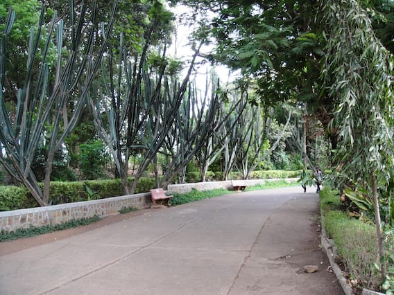 Mumbai Haunted Places: ये हैं मुबंई की सबसे डरावनी जगहें! जहां शाम ढलने के बाद परिंदा भी नहीं मारता पर