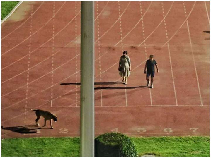 Delhi IAS Husband and Wife transfer in Arunachal and Ladakh walk dog in stadium people search distance of both places Social Media IAS Transfer: स्टेडियम में कुत्ता टहलाने वाले IAS दंपत्ति का ट्रांसफर, सोशल मीडिया पर लोग बताने लगे लद्दाख और अरुणाचल की दूरी