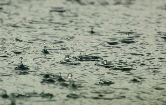 আবহাওয়া দফতরের পূর্বাভাস বর্ষা এগিয়ে আসছে। বর্ষার অনুকূল পরিবেশ তৈরি হয়েছে আরব সাগর ও বঙ্গোপসাগরে। অনুমান, ১ জুন, নির্ধারিত সময়ের আগেই কেরলে বর্ষার প্রবেশের সম্ভাবনা।
