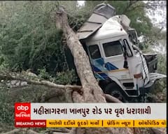 મહીસાગરમાં લીમડીયા-ખાનપુર રોડ પર ડમ્પર પર વૃક્ષ ધરાશાયી