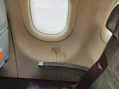 शख्स ने Flight की खिड़की पर थूका गुटखा, IAS अधिकारी बोले- किसी ने छोड़ दी अपनी पहचान