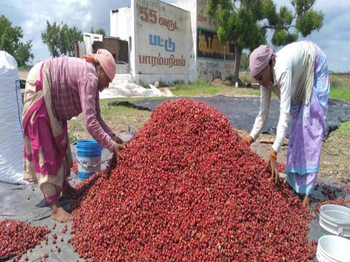 விளாத்திகுளம், புதூர் பகுதி மிளகாய் வற்றல்களுக்கு குளிர்சாதன வசதியுடன் கூடிய குடோன்கள் அமைக்க கோரிக்கை