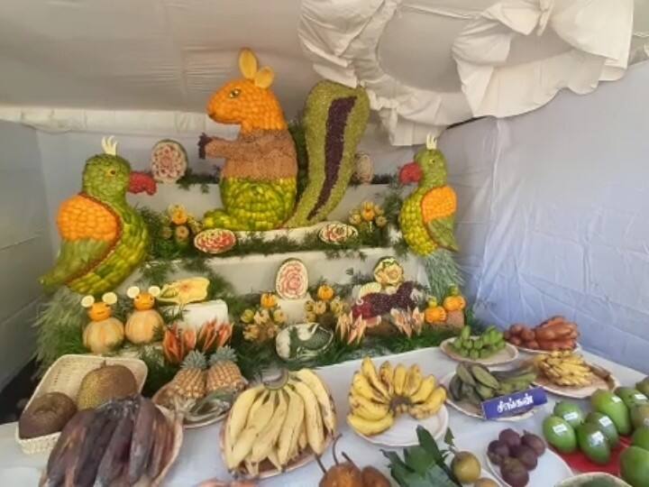 உதகை : பார்வையாளர்களை கவரும் பழக்கண்காட்சி.. களைகட்டும் கோடை விழா..! The 62nd Fruit Exhibition has started in Nilgiris alias udhagamandalam or ooty உதகை : பார்வையாளர்களை கவரும் பழக்கண்காட்சி.. களைகட்டும் கோடை விழா..!