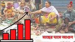 Fish Price: এবার মাছের দামেও আগুন, মাথায় হাত আম জনতার