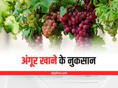 Grapes Side Effects: जरूरत से ज्यादा न करें अंगूर का सेवन, वरना हो सकती हैं ये समस्याएं