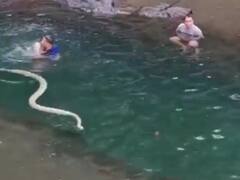 Viral video: पानी में लोग कर रहे थे Enjoy, तभी आ गया बड़ा सांप, देखें क्या हुआ आगे 