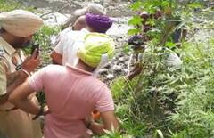 Nabha 'ਚ ਦਿਲ ਦਹਿਲਾਉਣ ਵਾਲੀ ਵਾਰਦਾਤ, ਦੋਸਤ ਦਾ ਕਤਲ ਕਰ ਲਾਸ਼ ਤੰਦੂਰ 'ਚ ਸਾੜ੍ਹੀ