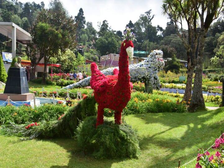 பிரையண்ட் பூங்காவில் சுற்றுலா பயணிகளை கவரும் வகையில் மலர்களால் உருவாக்கப்பட்ட மயில், டைனோசர், வெள்ளைப்பூண்டு ஆகியவை தத்ரூபமாக வடிவமைக்கப்பட்டுள்ளது.