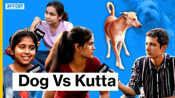 Dog Vs Kutta: क्या Urban Dog Real है या Fake, क्या Family से हो Important होते हैं Dogs?
